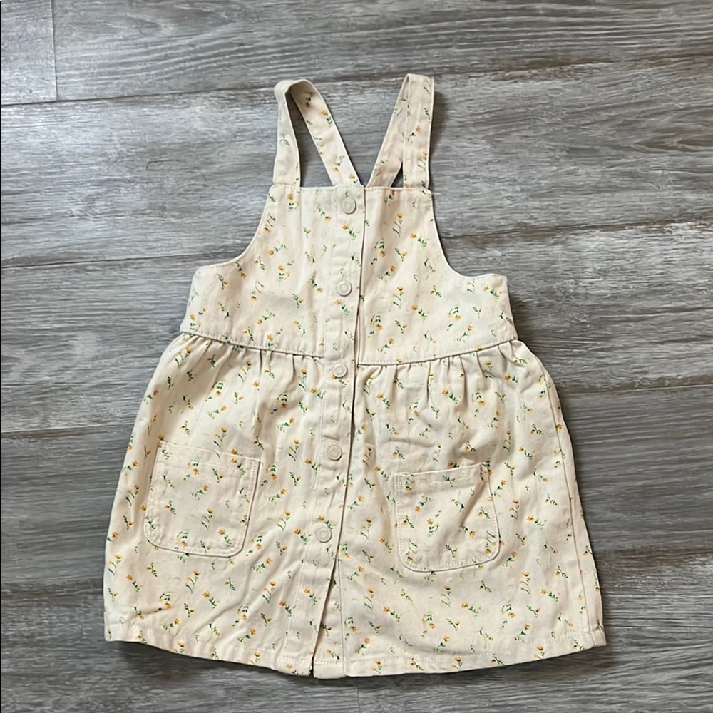 Zara Dress NWT